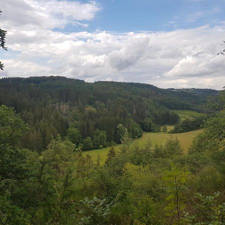 Altes Schreiner Haus In Der Vulkaneifel Brockscheid Extérieur photo
