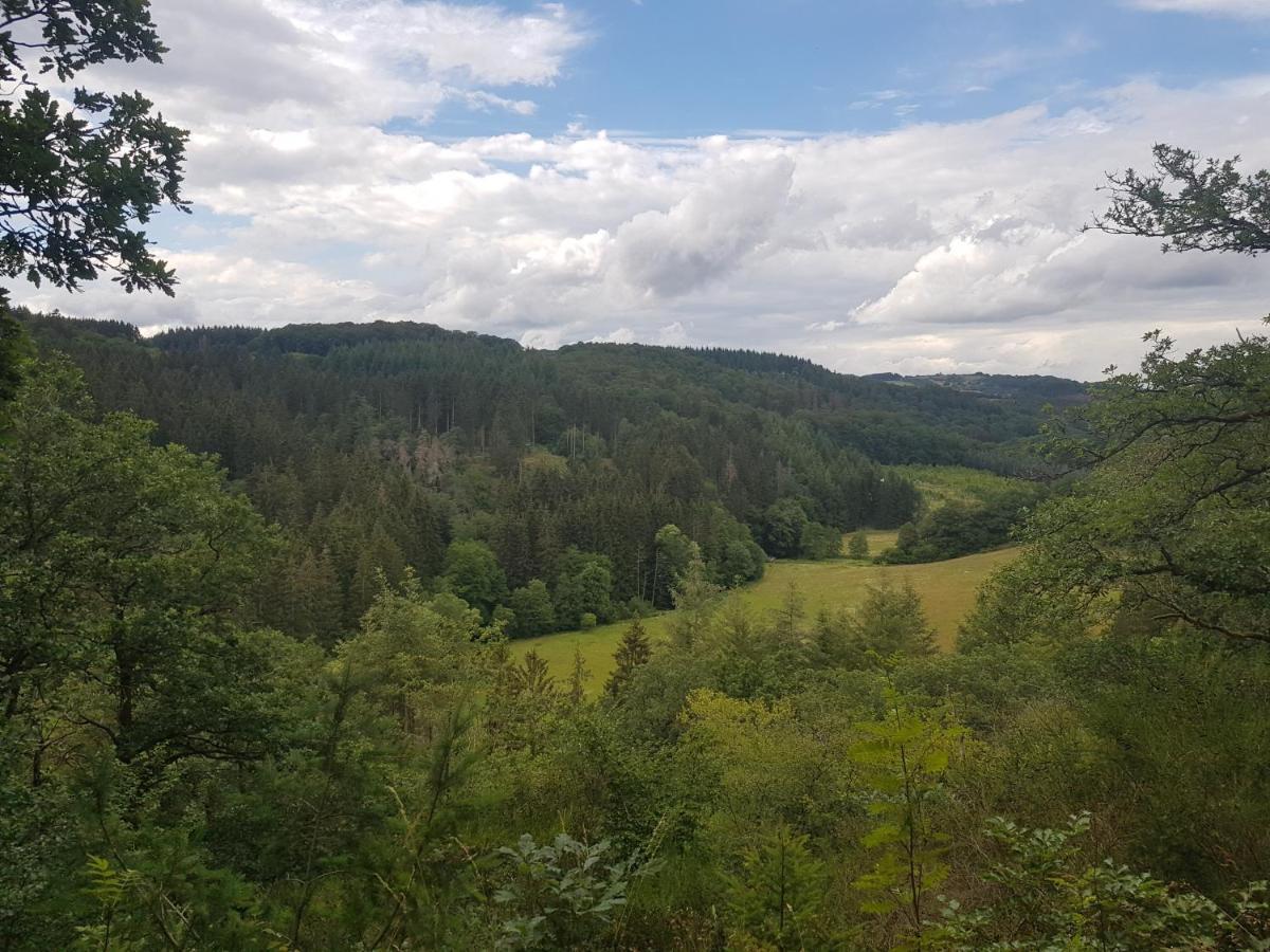 Altes Schreiner Haus In Der Vulkaneifel Brockscheid Extérieur photo